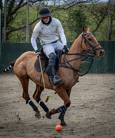 Arena Gold Cup 2023-219