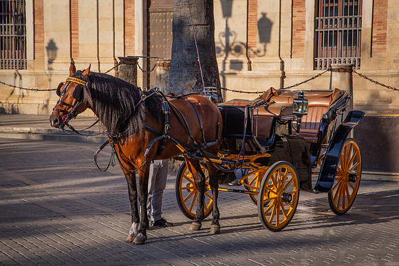 Seville-188