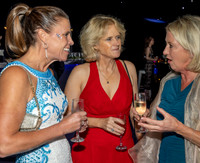 Philippa & Chris's 60th Birthday Party-30
