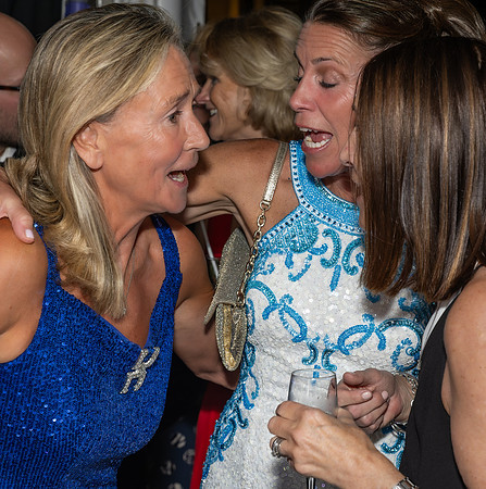 Philippa & Chris's 60th Birthday Party-291