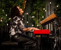 Emily Francis Trio-5