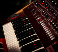 Emily Francis Trio-13
