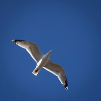 Yorkshire Coast-20