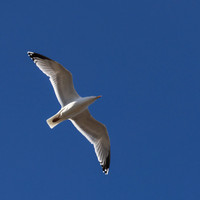 Yorkshire Coast-21