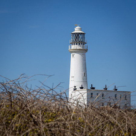Yorkshire Coast-13