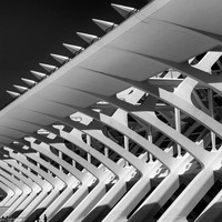 MCC - Valencia Trip-15