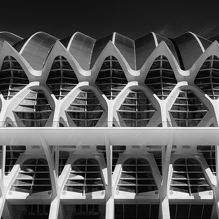 MCC - Valencia Trip-21