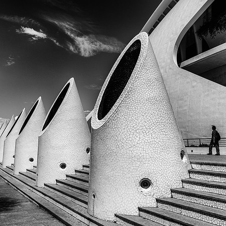 MCC - Valencia Trip-24