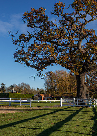 Polo Club-59