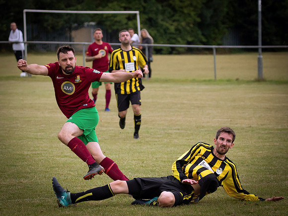 Wasps12