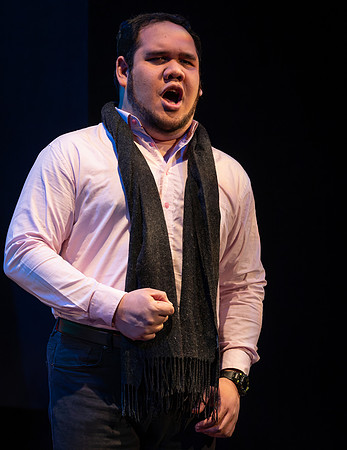 Rogue Opera-6