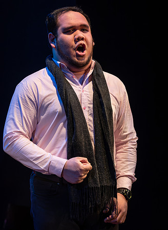 Rogue Opera-7
