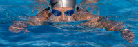 Swimmer-11