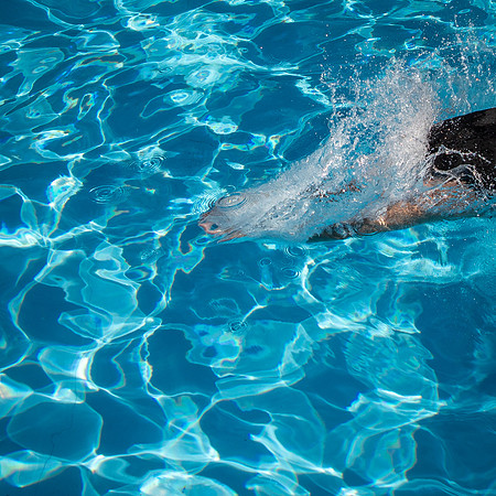 Swimmer-30