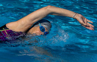 Swimmer-4