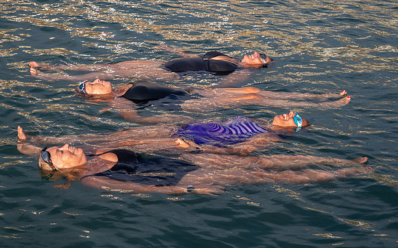 Wild Swimmers-151