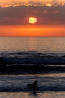 Bude 2026-8
