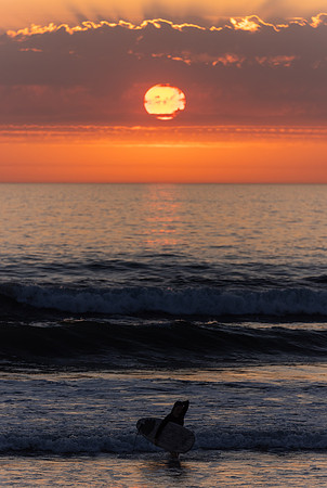 Bude 2026-8