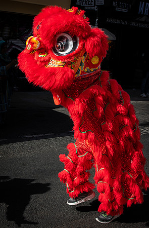 Curry Festival 2026-107