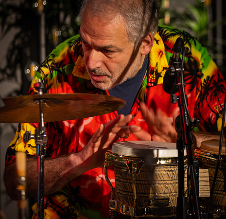 Dawkes - The Bossa Gringos 2026-68