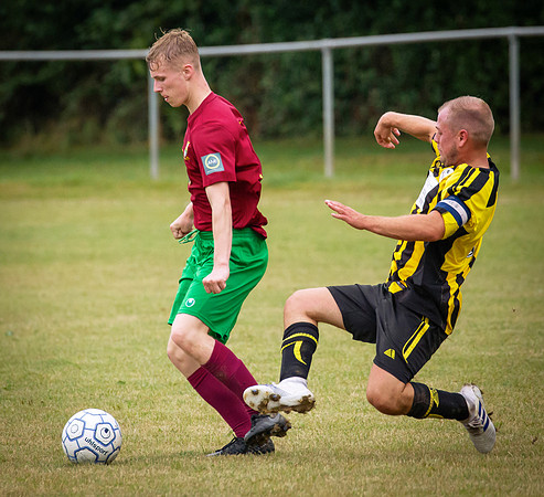 Wasps35
