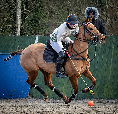 Arena Gold Cup 2023-226