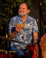 Dawkes - The Bossa Gringos 2026-11