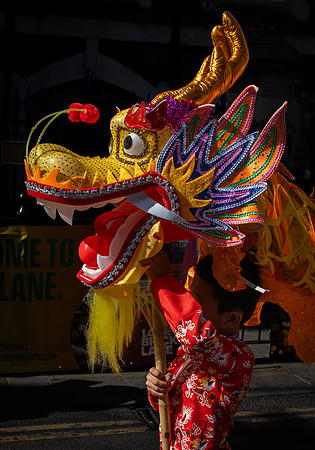 Curry Festival 2026-105