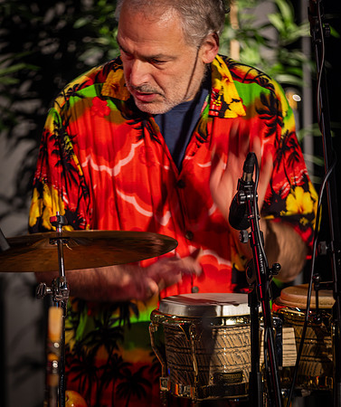 Dawkes - The Bossa Gringos 2026-67