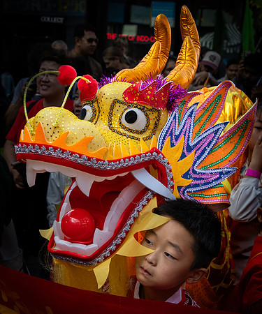 Curry Festival 2026-150