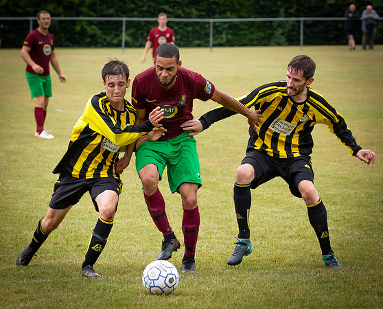 Wasps33