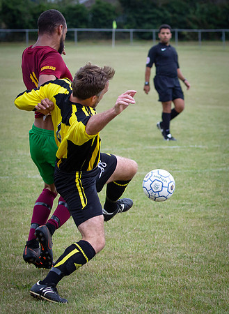 Wasps15