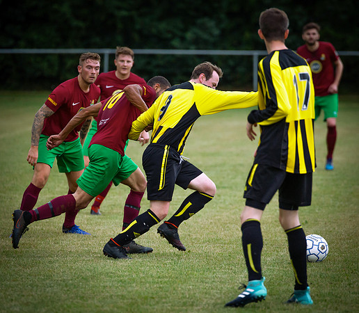 Wasps16