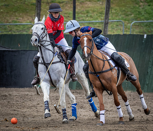 Arena Gold Cup 2023-33