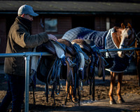 Polo Club-4