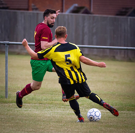 Wasps19