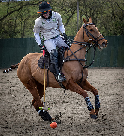 Arena Gold Cup 2023-220