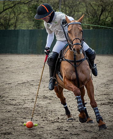 Arena Gold Cup 2023-209