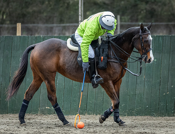 Arena Gold Cup 2023-164