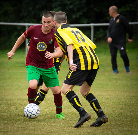 Wasps37