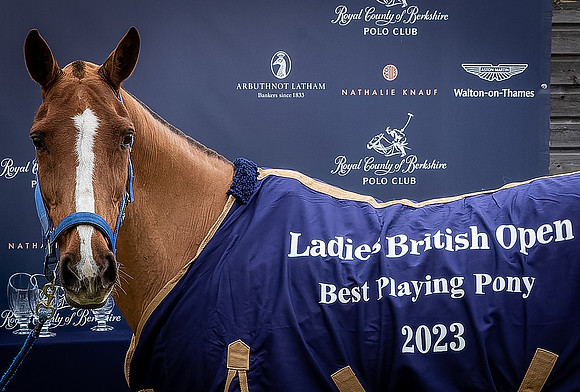 Arena Gold Cup 2023-75