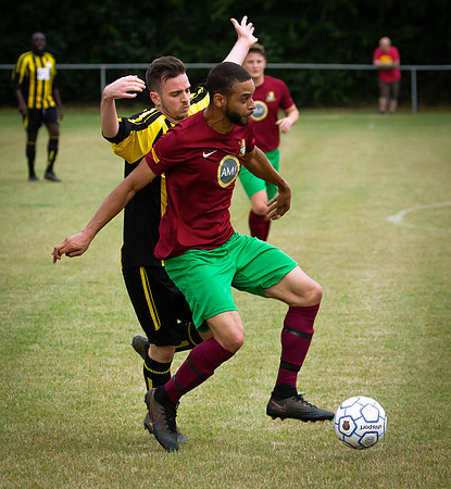 Wasps7