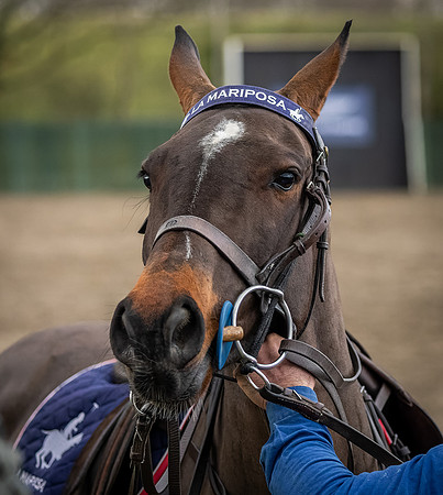 Arena Gold Cup 2023-144