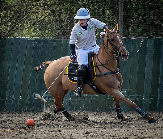 Arena Gold Cup 2023-227