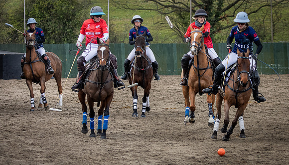 Arena Gold Cup 2023-22