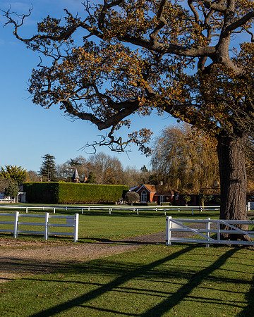 Polo Club-60