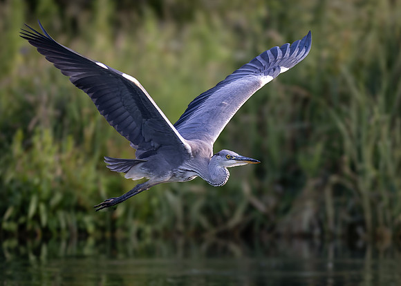 MCC Osprey Trip-3