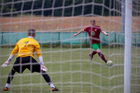 HFC11