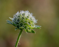 reserve7