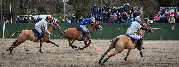 Arena Gold Cup 2023-212